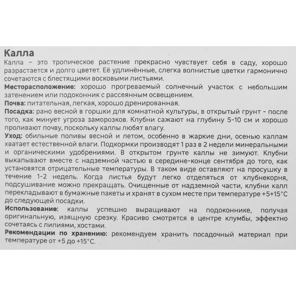 Калла Geolia Блэк Форист 86408669 STLM-2125609  - Вид №3