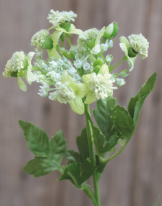 4095 873 a2 Усик искусственного чеснока, 3-х кратный, 60 см, зеленый H-andreas