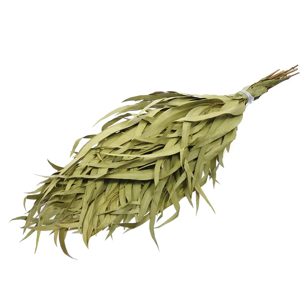 Веник банный Банные штучки эвкалиптовый Santreyd STLM-2197480