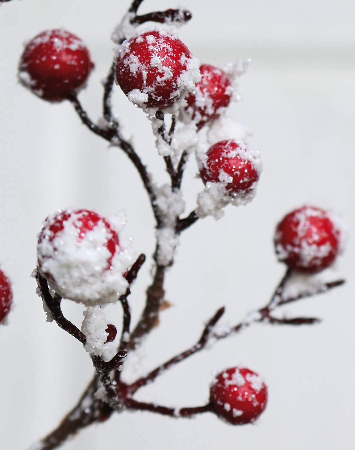 8118 419 a3 Ветка искусственной ягоды со снегом, 70 см, матовый красный H-andreas  - Вид №1