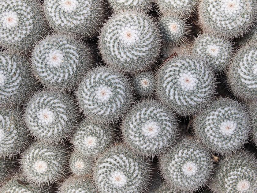 Architects Paper Обои с цифровой печатью Ap digital iv 109145 - Вид №1