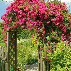 D1-073 Фотообои DIVINO Collection D 2.7х2 м