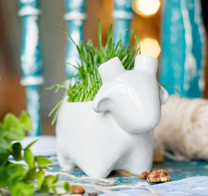 Набор для выращивания Eco Овечка ЭКОЧЕЛОВЕКИ 3003 - Вид №1