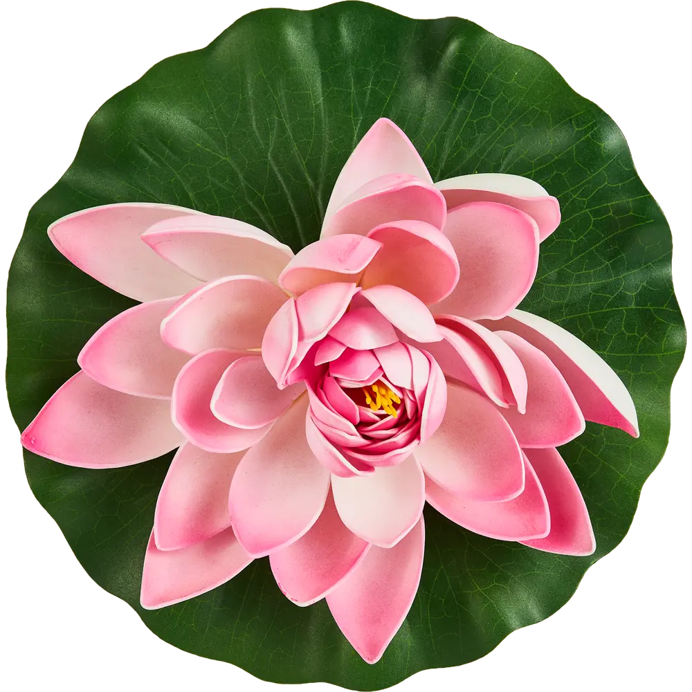 ECOTEC Лотос для водоема - элегантное украшение пруда 86870415 STLM-0072256 - Вид №2