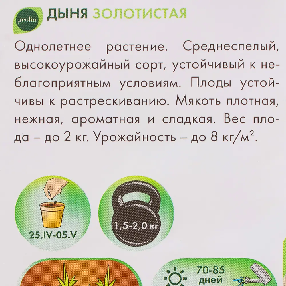 Семена дыни GEOLIA Золотистая - ароматный урожай с сочной мякотью 17584698 STLM-0008322 - Вид №2