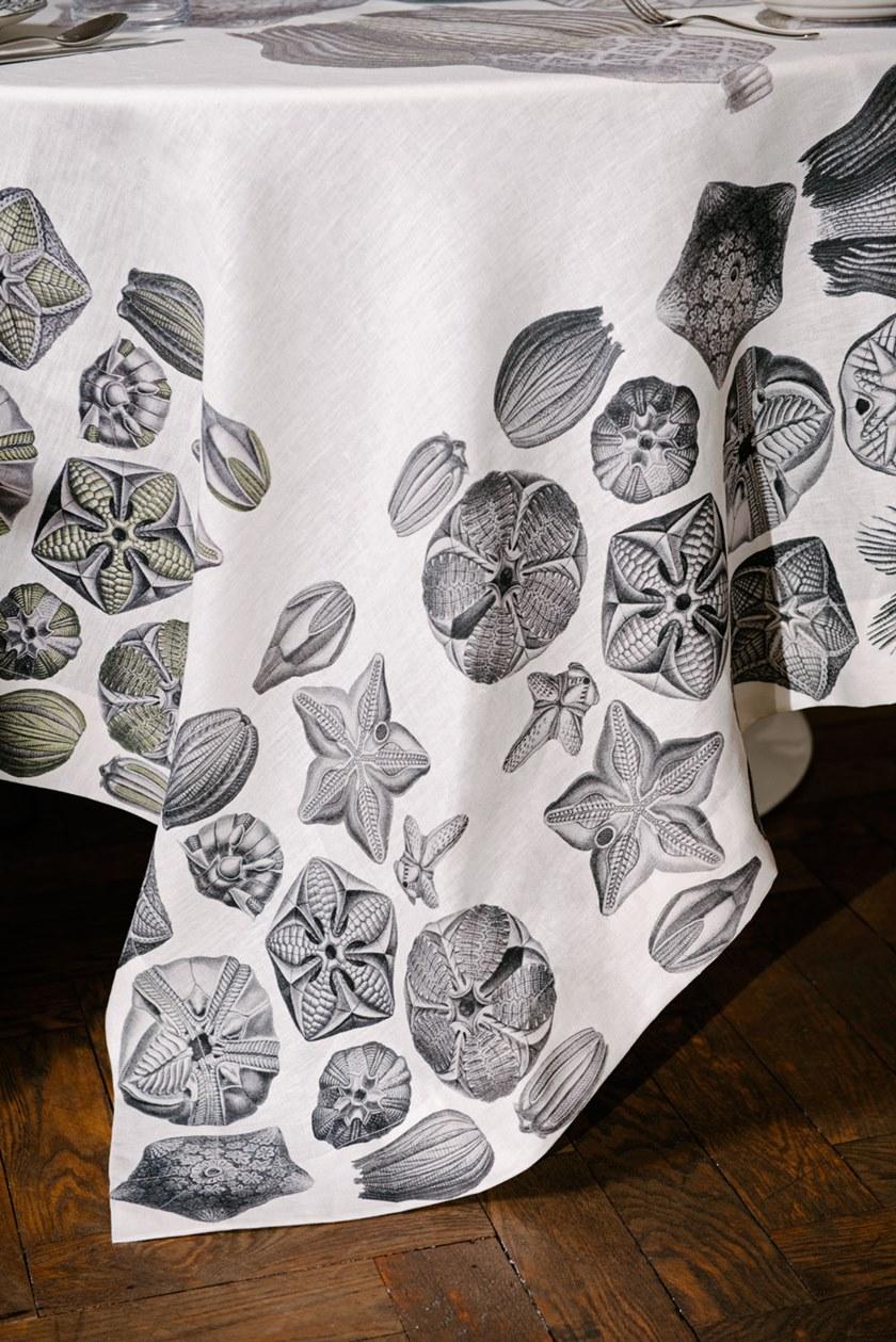 The NapKing Скатерть льняная Blastoidea sun-id-1403098 - Вид №2