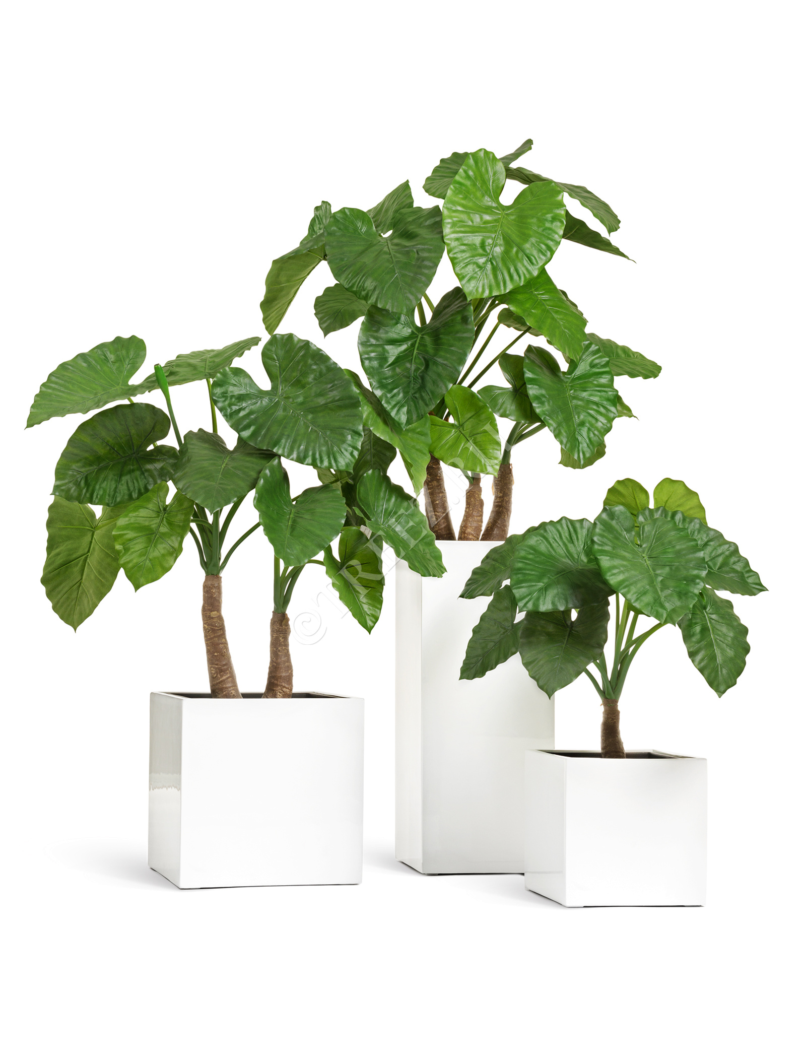 41.3320-05-034-WH-97 Кашпо  Effectory - серия Gloss - Высокий куб - Белый глянцевый лак Цветочная коллекция  - Вид №4