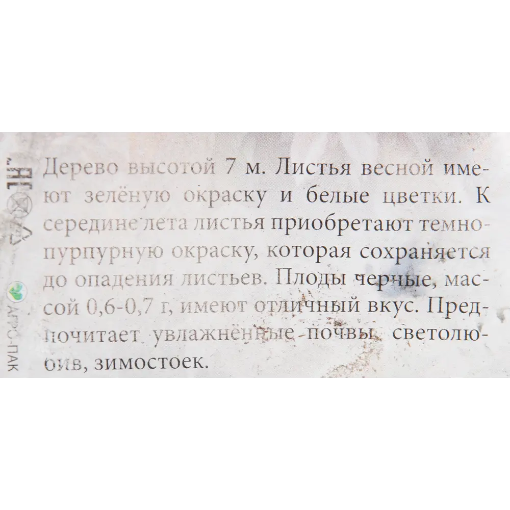 Черемуха «Сибирская красавица» в пакете 82540103 STLM-2049292 Santreyd  - Вид №1