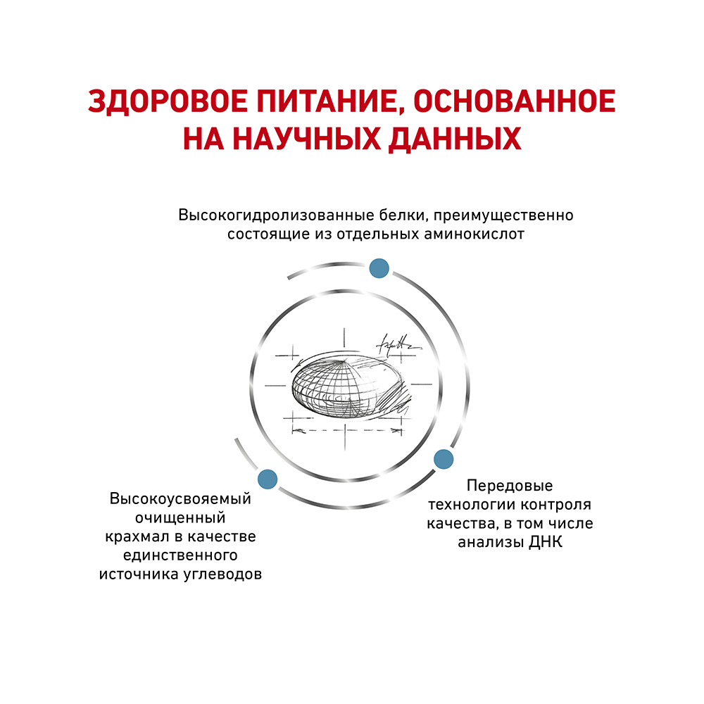 ПР0042543 Корм для кошек Anallergenic при пищевой аллергии сух. 2кг ROYAL CANIN  - Вид №3