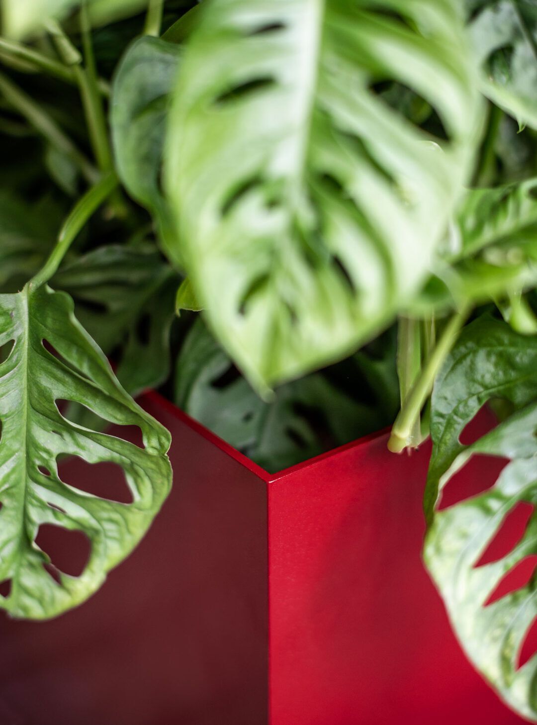 Прямоугольная алюминиевая плантатор с порошковым покрытием SIXINCH PLANTER ARCH-00109030 - Вид №14