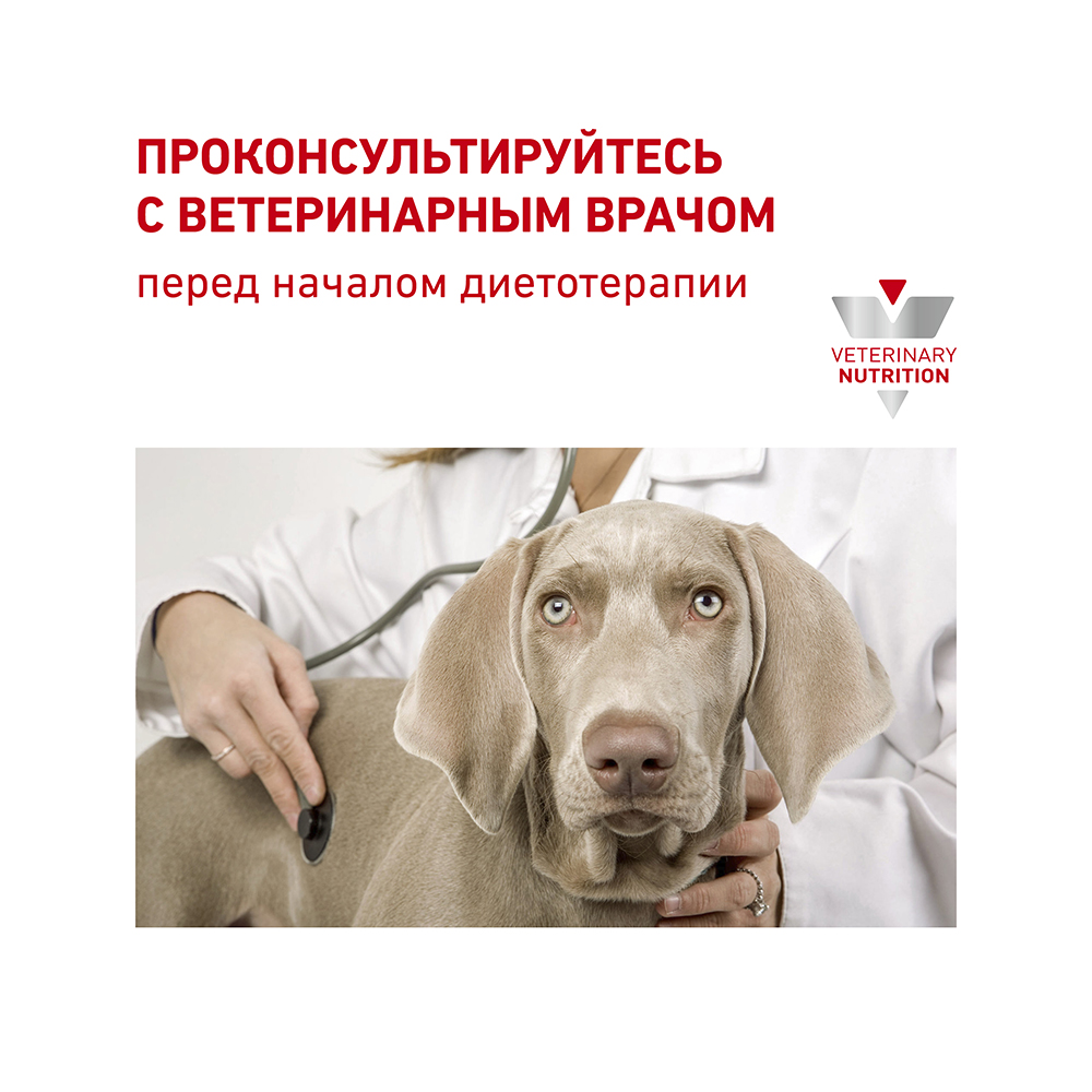 Т0031962 Корм для собак и кошек Vet Diet Recovery в период анорексии, выздоровления конс. 195г ROYAL CANIN  - Вид №5