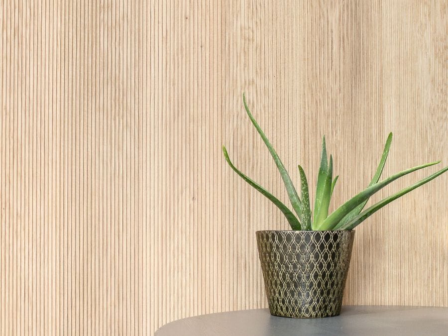 Панель с трехмерными эффектами из массива дерева Bassano Parquet Wallwood ARCH-00130079