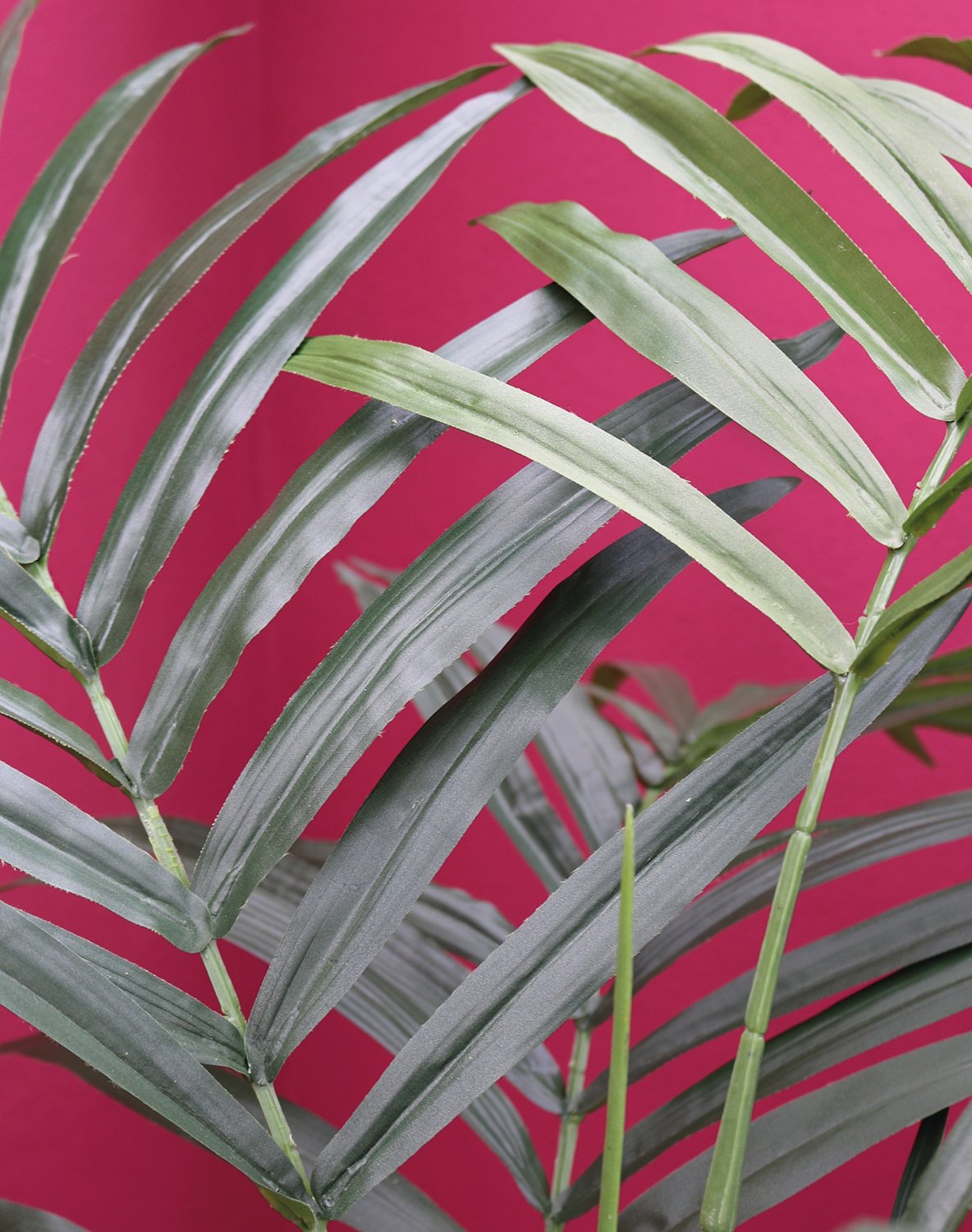 5451 883 a3 Искусственная пальма Kentia, горшечная, 210 см, зеленая H-andreas  - Вид №7