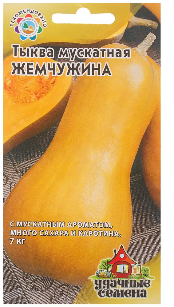 ГАВРИШ Тыква «Мускатная жемчужина» — высокоурожайный сорт с сочной мякотью 81933372