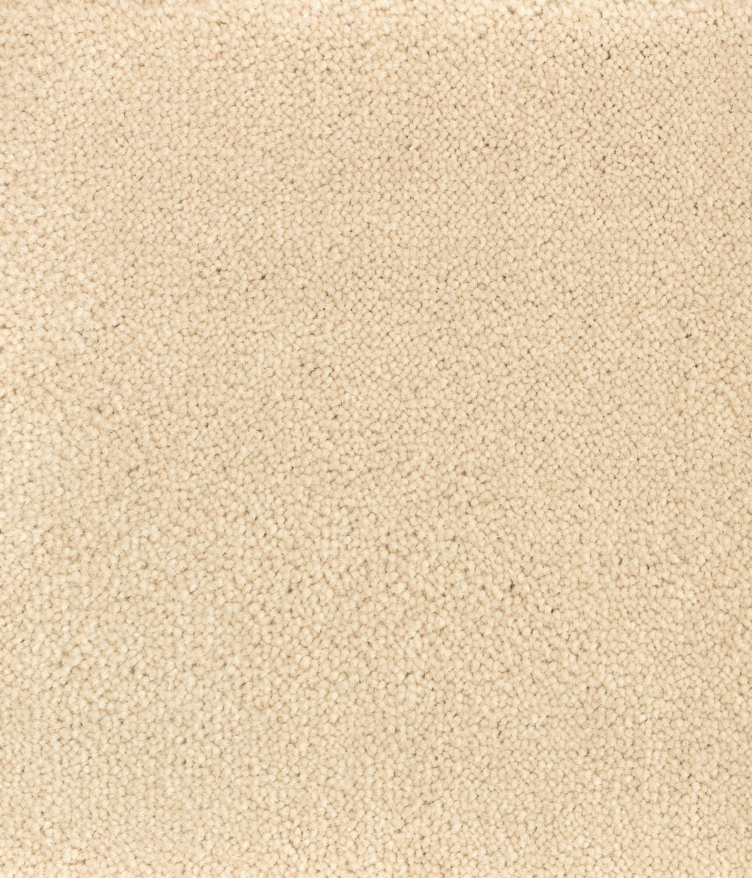 Перерабатываемый нейлоновый ковер Radici BLOOM ARCH-00060856 - Вид №3