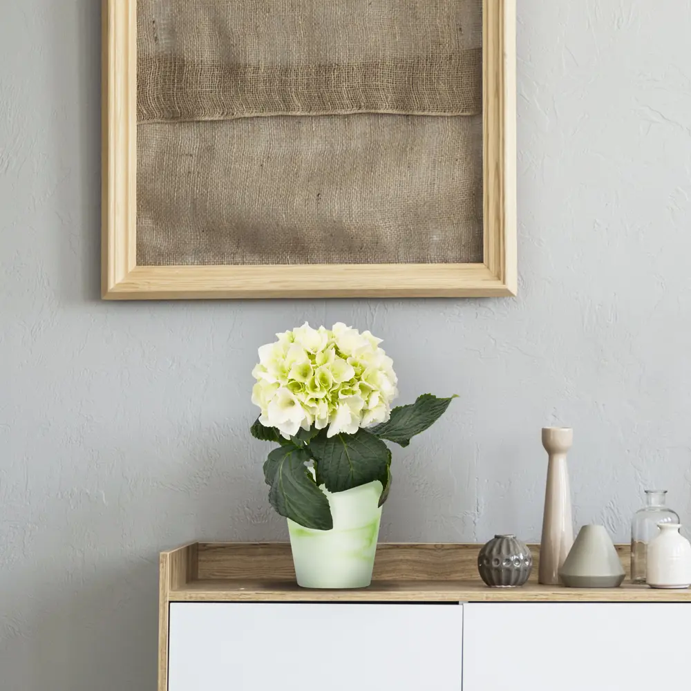 Кашпо для орхидей ø14 h15 см v1 л стекло белый/зелёный NINA GLASS Бальзамин STLM-2201429 - Вид №3