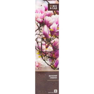 Магнолия суланжа в тубе 82539521 STLM-2067748
