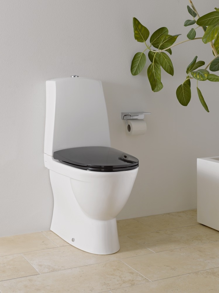 H8909503000001 Сиденье и крышка, нижняя фиксация LAUFEN PRO - Вид №4