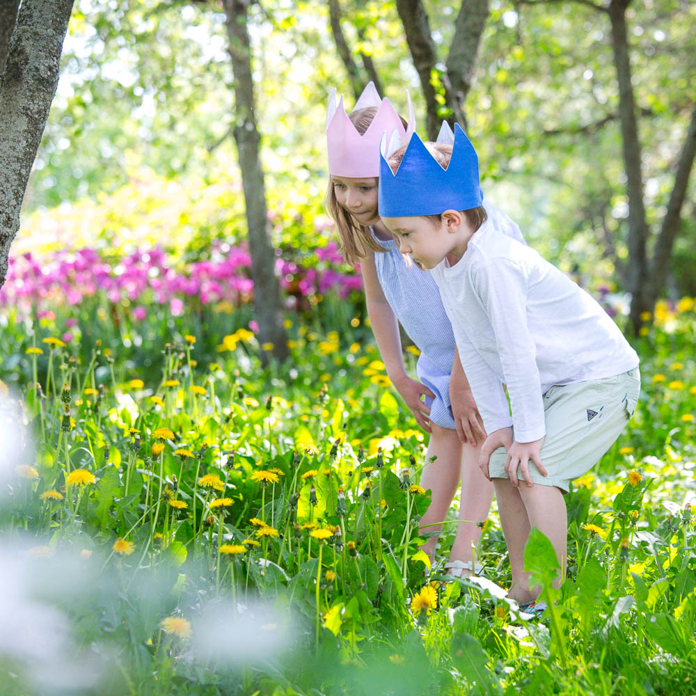 Детская корона Simple Pink VAMVIGVAM SIMPLE PINK 281511 Розовый Santreyd  - Вид №4