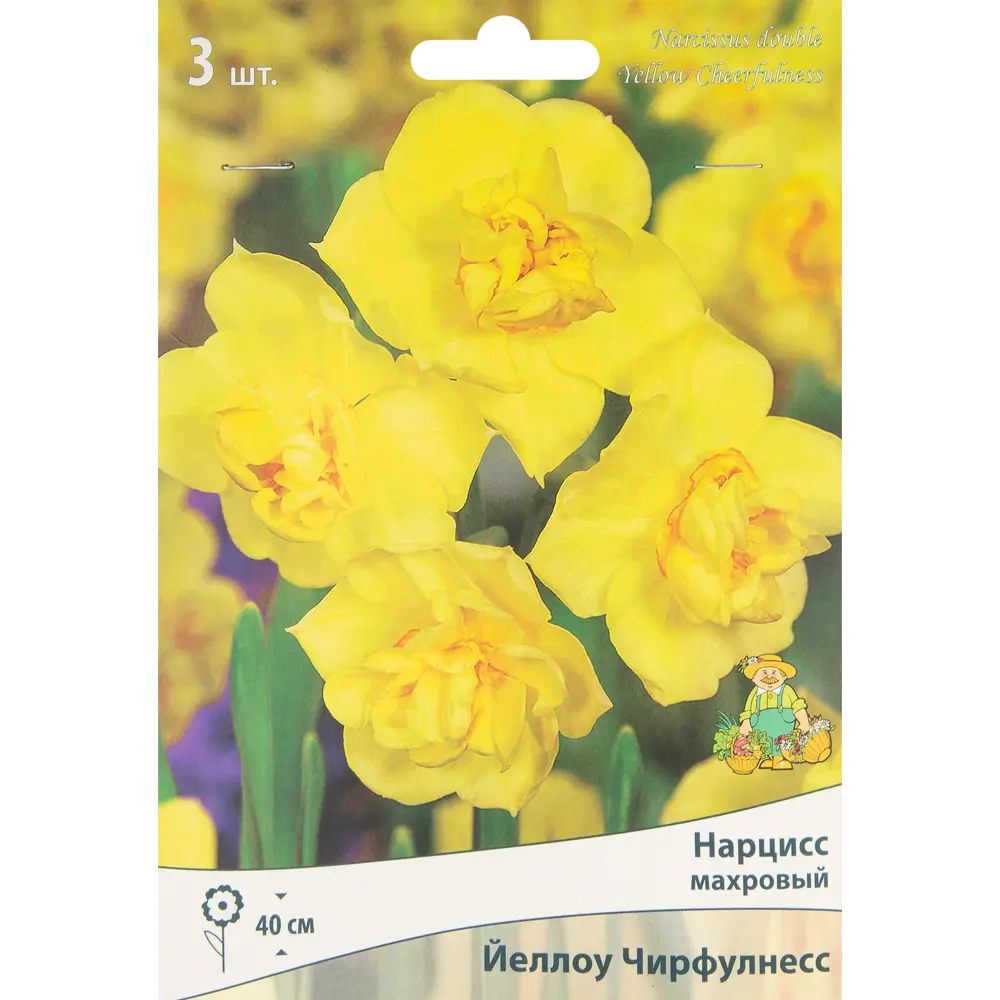 ПОИСК Нарцисс махровый Йеллоу Чирфулнесс - 3 луковицы для солнечного сада 85186018 STLM-1573765