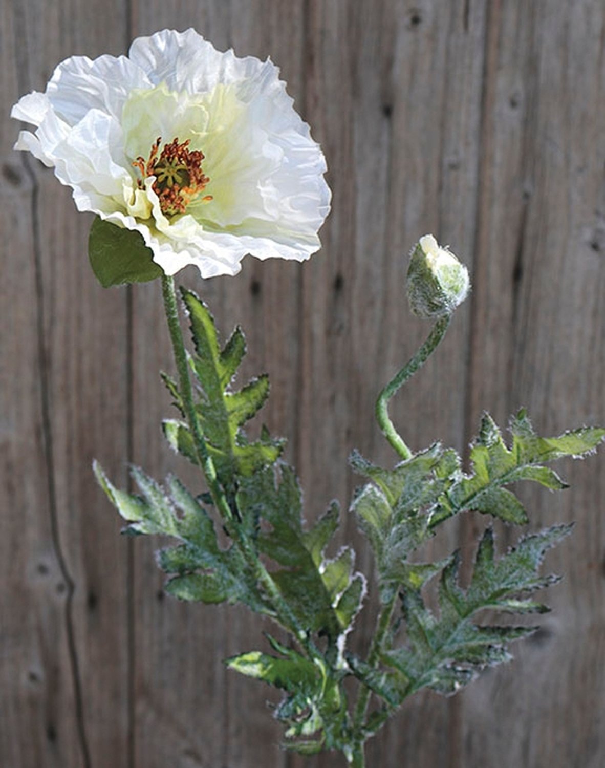 4558 733 a3 Мак синтетический, 1 цветок, 1 бутон, 74 см, бежево-желтый H-andreas  - Вид №1