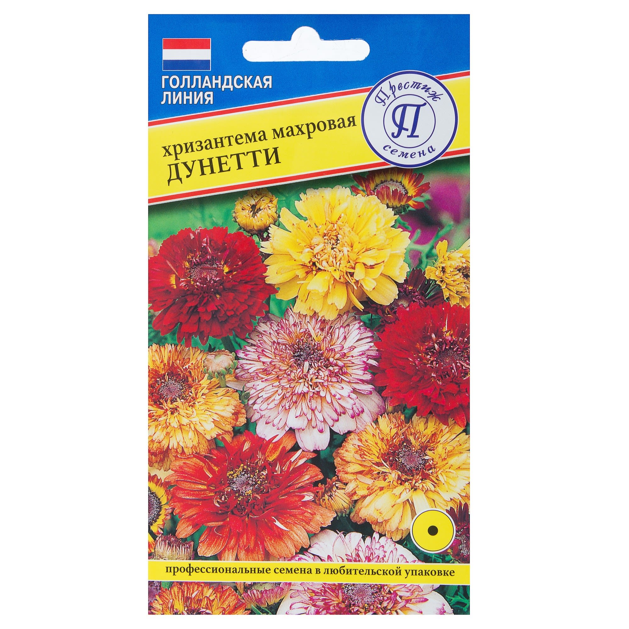 17301512 Хризантема махровая «Дунетти» Santreyd 