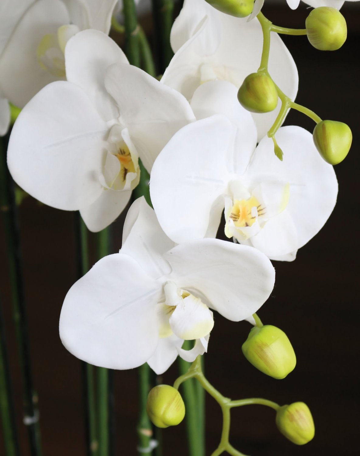2860 777 a3 Пластиковая орхидея Phalaenopsis с 'почвой', 9-кратная, 120 см, real touch, белая H-andreas  - Вид №14
