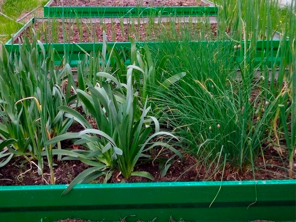 Грядка 1*3м, высота 20 см, цвет зелёный ГеоПластБорд GPBST-144 - Вид №2