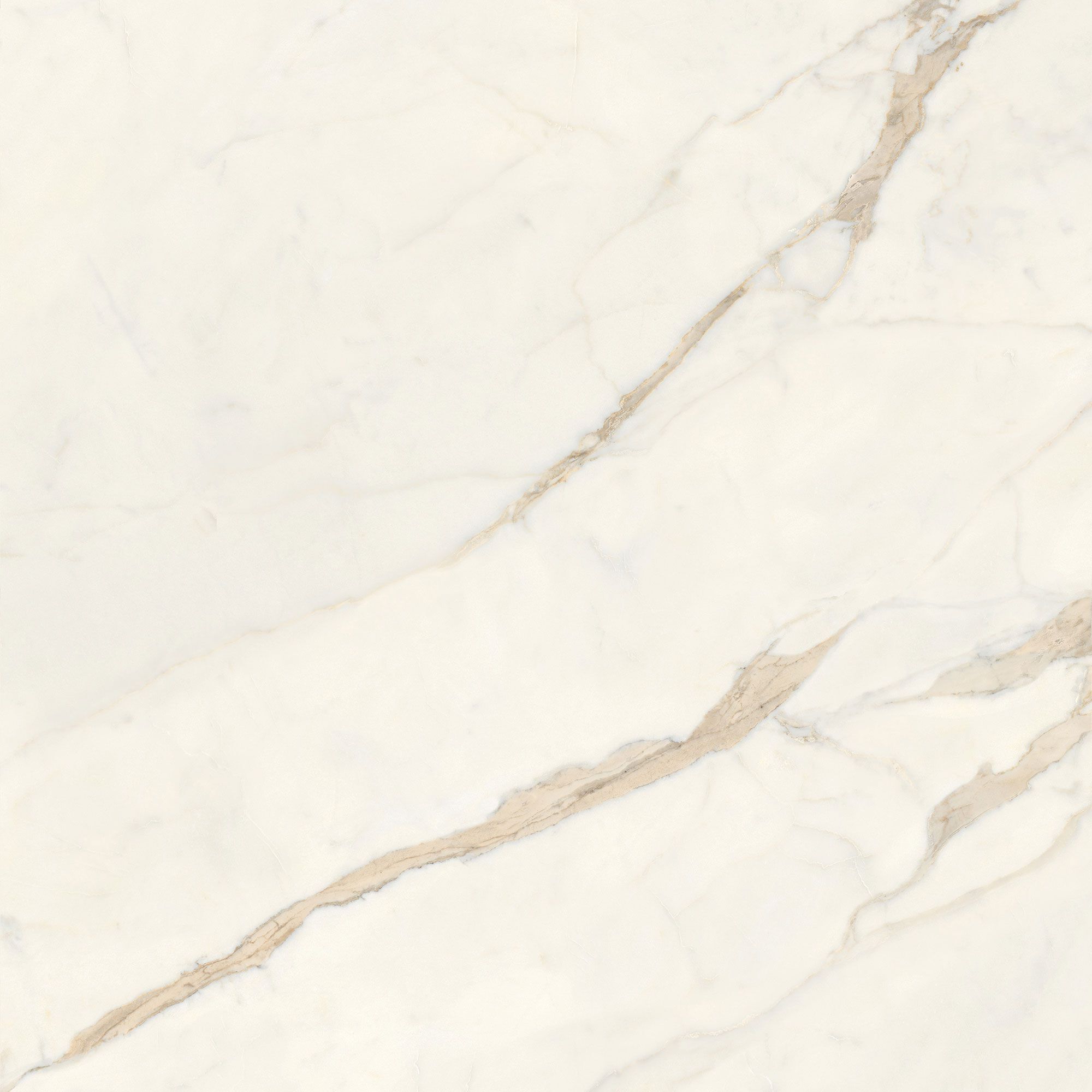 Пол / керамогранит с мраморным эффектом Italgraniti Marble Touch ARCH-00062183 - Вид №23