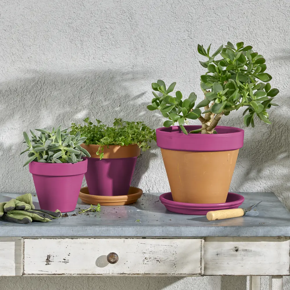 Аэрозольная эмаль Luxens глянцевая конфетно-розовая 520 мл 83237446 STLM-0039789 - Вид №5