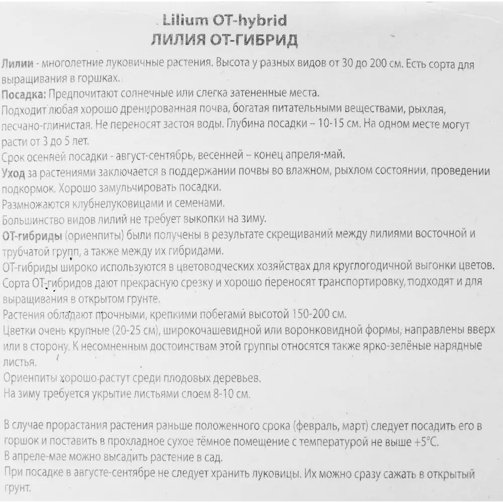 Лилия от-гибрид Сатисфекшн 85205722 STLM-2102815 ПОИСК  - Вид №2