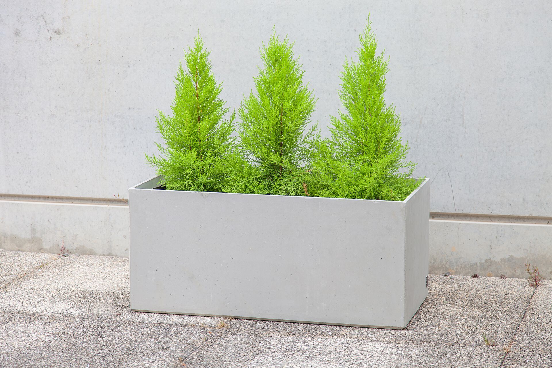 Плантатор из армированного волокном бетона SIT коробка ARCH-00001869 - Вид №6
