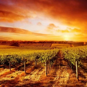 WP00859 Фотообои Verol Фотообои decoline 1х1 м