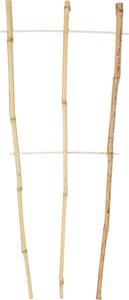 GARDMAX Бамбуковая решетка-опора для вьющихся растений 60 см 81951925