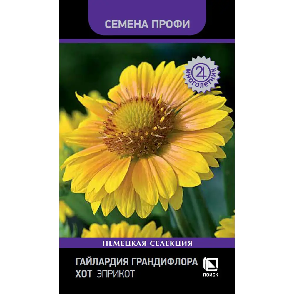 Гайлардия Грандифлора Хот Эприкот от ПОИСК - солнечный акцент вашего сада 89402688 STLM-1570214