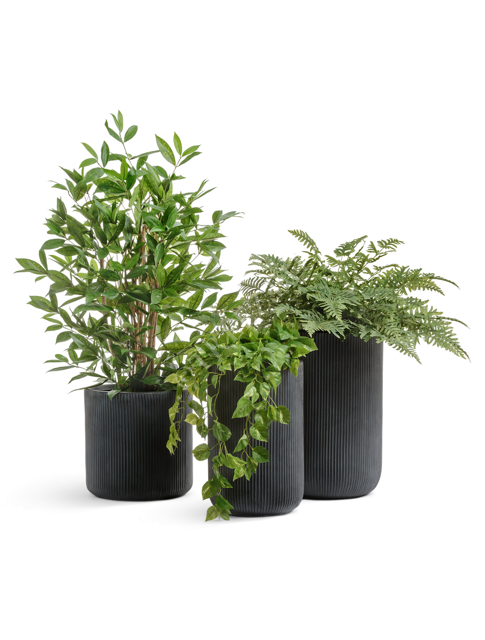 41.1020-0041-BLCK-47 Кашпо  ERGO - серия Jet - Высокий цилиндр - Антрацит Цветочная коллекция  - Вид №5