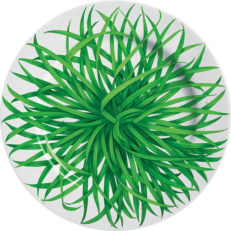 10640786 Taitu Тарелка акцентная Taitu "Травы" 19см Фарфор 