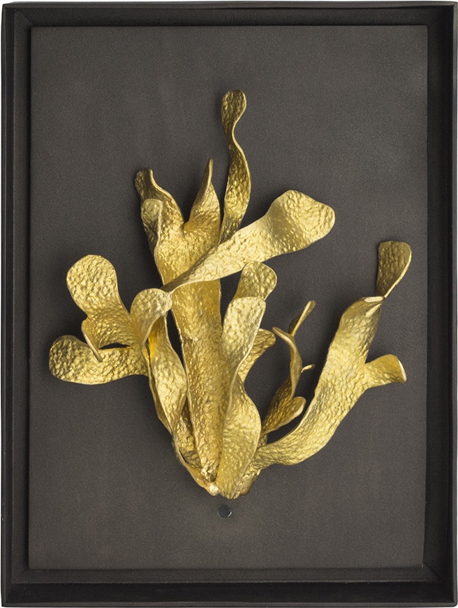 10600349 Michael Aram Панно Michael Aram "Ламинария" 26х35см (золотистое) Латунь 