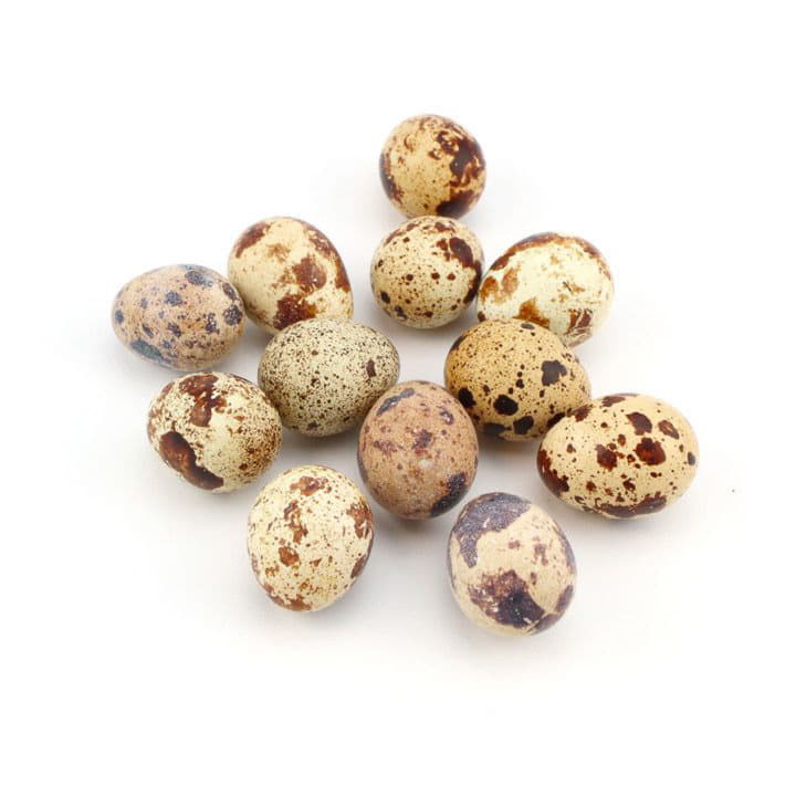 Яйцо перепелиное Santreyd 1943 - Вид №1