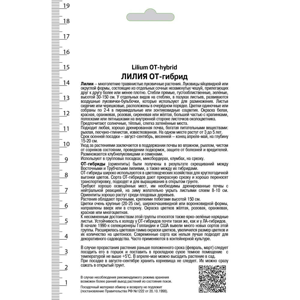 Лилия ОТ-гибрид «Йеллоувин», высота 50 см, 1 шт. 82000186 STLM-2003472 Santreyd  - Вид №1