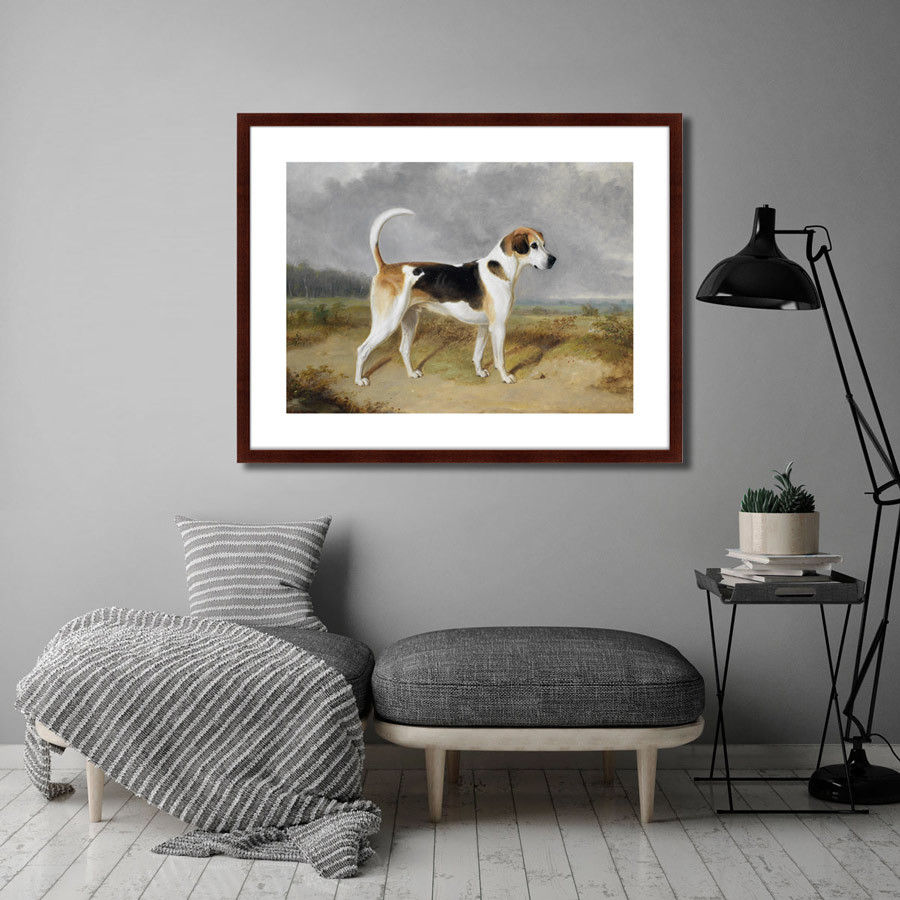 Картина: Portrait of a Foxhound, 1780г. КАРТИНЫ В КВАРТИРУ  264192 Разноцветный  - Вид №2