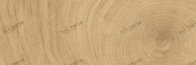 6012/SLR/200x600x10/S1 Time Ring медовый Kerranova К6012SLR