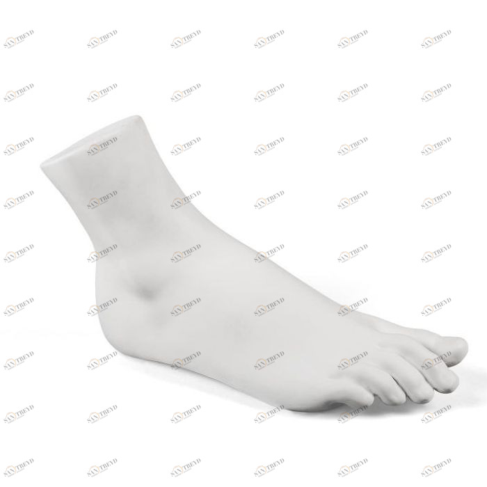 Статуэтка декоративная фарфоровая 21х36 см белая Memorabilia Mvsevm Female Foot SELETTI  00-3883228 Белый 