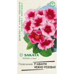 Глоксиния Аванти Саката нежно-розовая 5 шт. 83583204 STLM-2076987