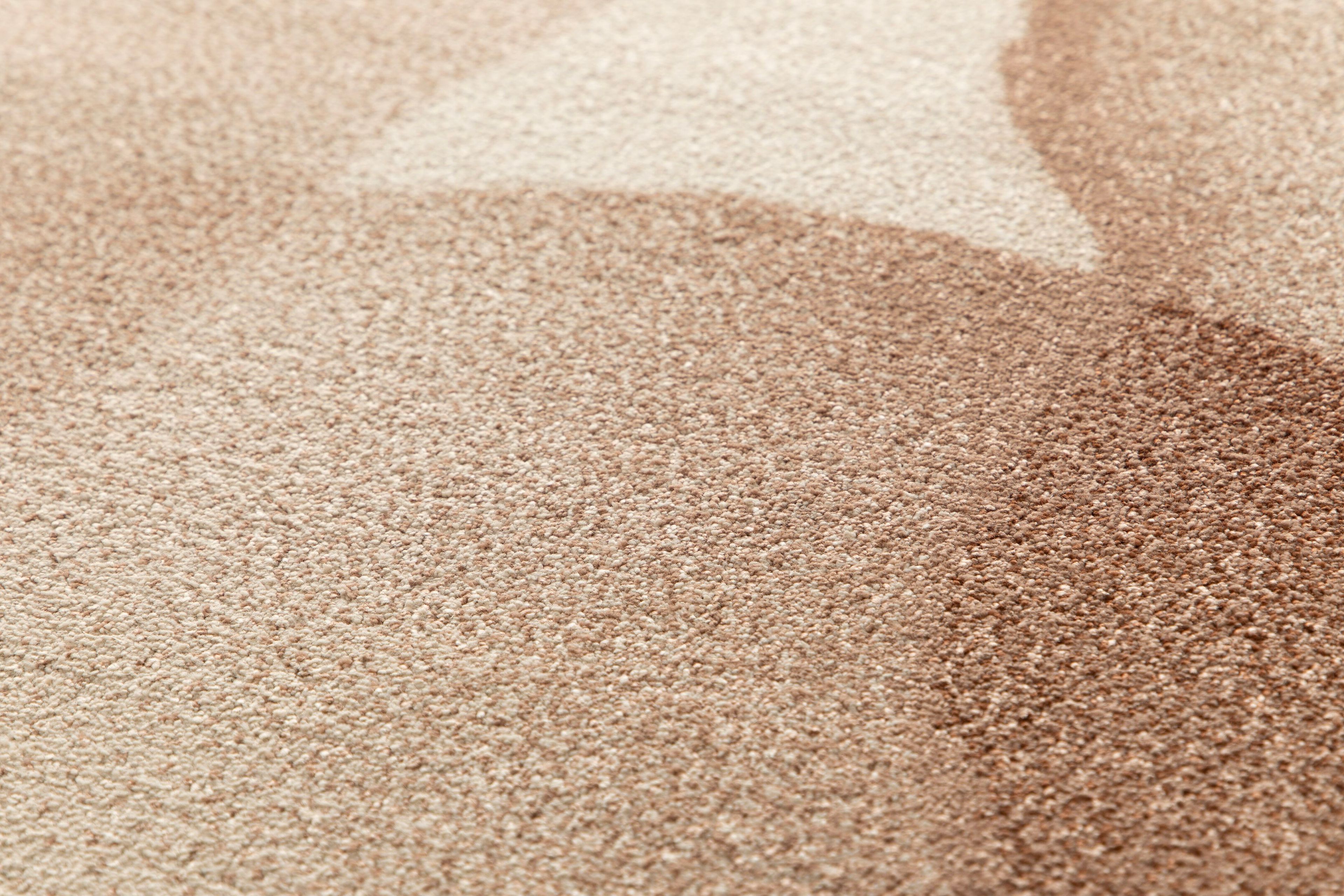 Прямоугольный ковер с рисунком Ademi Essential ARCH-00049937 - Вид №15