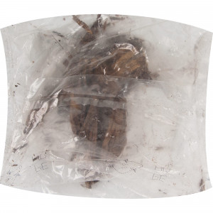 83760969 Георгина Литтл Роберт луковица II