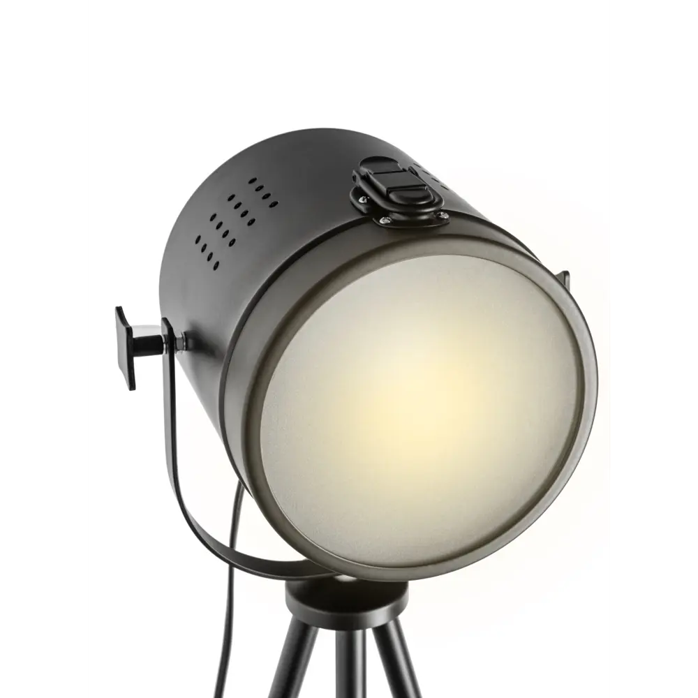 Торшер Gent, цвет чёрный LAMPLANDIA STLM-2202411 - Вид №6