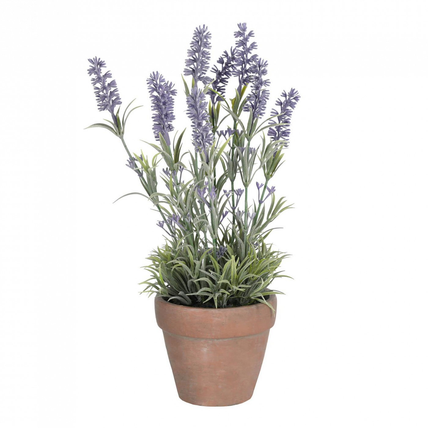 089927 Лаванда в цементном горшке Flower La Forma Lavanda  - Вид №1