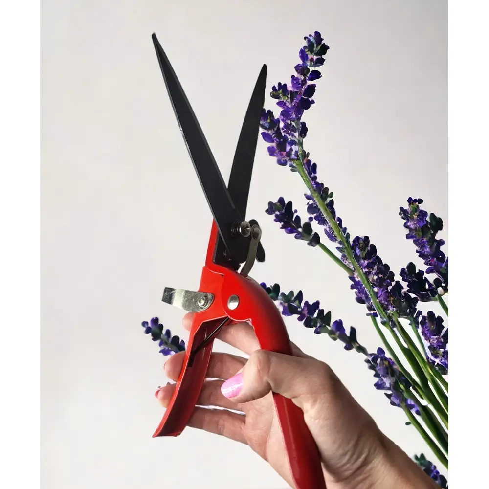 Газонные ножницы 18 мм Santreyd STLM-2091142 - Вид №3