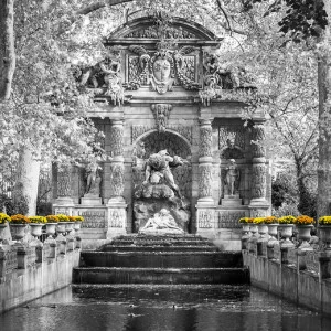 C1-164 Фотообои DIVINO Collection C 2.7х3 м